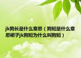 jk狗长是什么意思（狗短是什么意思裙子jk狗短为什么叫狗短）