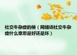社交牛杂症的梗（网络语社交牛杂症什么意思是好还是坏）