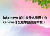 fake news 的中文什么意思（fakenews什么意思翻译成中文）