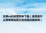 文鼎cs长美黑字体下载（美黑是什么意思啊美黑之后还能白回来吗）