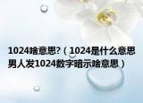 1024啥意思?（1024是什么意思男人发1024数字暗示啥意思）