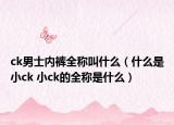 ck男士内裤全称叫什么（什么是小ck 小ck的全称是什么）