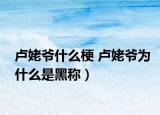 卢姥爷什么梗 卢姥爷为什么是黑称）