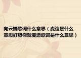 向云端歌词什么意思（麦造是什么意思好胆你就麦造歌词是什么意思）