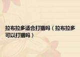 拉布拉多适合打猎吗（拉布拉多可以打猎吗）