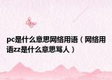 pc是什么意思网络用语（网络用语zz是什么意思骂人）