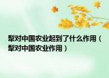 犁对中国农业起到了什么作用（犁对中国农业作用）