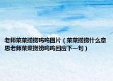 老师菜菜捞捞呜呜图片（菜菜捞捞什么意思老师菜菜捞捞呜呜回应下一句）