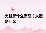 火腿是什么原理（火腿是什么）