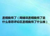 丞相我悟了（网络语丞相我悟了是什么意思评论区丞相我悟了什么梗）