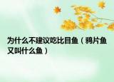 为什么不建议吃比目鱼（鸦片鱼又叫什么鱼）