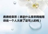 唐唐啥意思（唐是什么意思网络用语说一个人太唐了是骂人的吗）