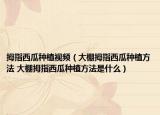 拇指西瓜种植视频（大棚拇指西瓜种植方法 大棚拇指西瓜种植方法是什么）