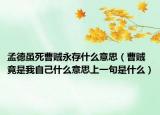 孟德虽死曹贼永存什么意思（曹贼竟是我自己什么意思上一句是什么）