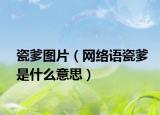 瓷爹图片（网络语瓷爹是什么意思）