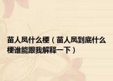 苗人凤什么梗（苗人凤到底什么梗谁能跟我解释一下）