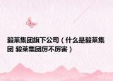 毅莱集团旗下公司（什么是毅莱集团 毅莱集团厉不厉害）