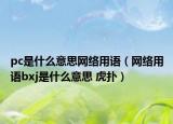 pc是什么意思网络用语（网络用语bxj是什么意思 虎扑）