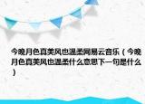 今晚月色真美风也温柔网易云音乐（今晚月色真美风也温柔什么意思下一句是什么）