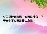 心巴是什么意思（心巴是什么一下子击中了心巴是什么意思）