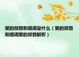 聚的部首和组词是什么（聚的部首和组词聚的部首解析）