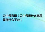 公主号官网（公主号是什么意思是指什么平台）