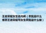 王者荣耀女生去内裤（农批是什么意思王者荣耀骂女生农批是什么梗）