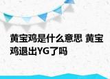 黄宝鸡是什么意思 黄宝鸡退出YG了吗