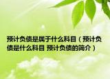 预计负债是属于什么科目（预计负债是什么科目 预计负债的简介）