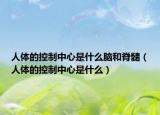 人体的控制中心是什么脑和脊髓（人体的控制中心是什么）