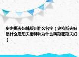 史密斯夫妇韩版叫什么名字（史密斯夫妇是什么意思夫妻肺片为什么叫斯密斯夫妇）