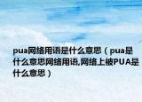 pua网络用语是什么意思（pua是什么意思网络用语,网络上被PUA是什么意思）