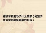 钓凯子和泡马子什么意思（钓凯子什么意思啊是哪里的方言）