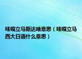 哇嘎立马斯达啥意思（哇嘎立马西大日语什么意思）