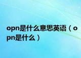 opn是什么意思英语（opn是什么）