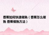 香蕉如何快速催熟（香蕉怎么催熟 香蕉催熟方法）
