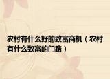 农村有什么好的致富商机（农村有什么致富的门路）