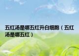 五红汤是哪五红升白细胞（五红汤是哪五红）