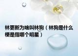 林更新为啥叫林狗（林狗是什么梗是指哪个明星）