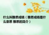 什么叫雅思成绩（雅思成绩是什么意思 雅思的简介）