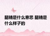 腿精是什么意思 腿精是什么样子的