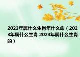 2023年属什么生肖年什么命（2023年属什么生肖 2023年属什么生肖的）