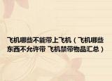 飞机哪些不能带上飞机（飞机哪些东西不允许带 飞机禁带物品汇总）