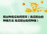 阳台种南瓜如何搭架（南瓜阳台的种植方法 南瓜阳台如何种植）
