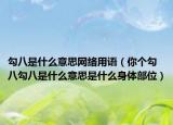 勾八是什么意思网络用语（你个勾八勾八是什么意思是什么身体部位）