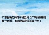 广东省税务局电子税务局（广东的胭脂树是什么树 广东的胭脂树指的是什么）
