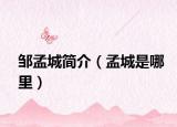 邹孟城简介（孟城是哪里）
