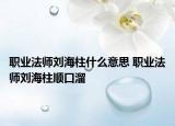 职业法师刘海柱什么意思 职业法师刘海柱顺口溜