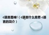c语言是啥!（c语言什么意思 c语言的简介）