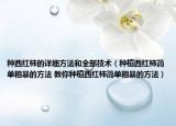 种西红柿的详细方法和全部技术（种植西红柿简单粗暴的方法 教你种植西红柿简单粗暴的方法）